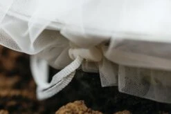 Insektenschutz-Tasche "Gemüse", 6 Stück