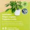 Leimfallen Gelb 2 Leimfallen Gelb -Windhager || Compo Verkäufe andermatt biogarten leimfallen gelb 1 paket 1663397 de