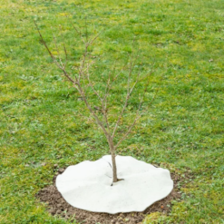 Mulchscheibe, ∅ 25 Cm 12 Mulchscheibe, ∅ 25 Cm -Windhager || Compo Verkäufe andermatt biogarten mulchscheibe 100 cm 1683258 de