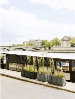 Pflanztasche Baclong 3 "Colours" - 110 Liter, Taupe 7 Pflanztasche Baclong 3 "Colours" - 110 Liter, Taupe -Windhager || Compo Verkäufe bacsac pflanztasche baclong 3 colours 110 liter 1681225 de