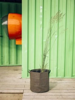 Pflanztasche "Classic" - Geotextil, 10 L -Windhager || Compo Verkäufe bacsac pflanztasche classic geotextil 1681147 de