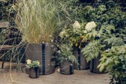 Windhager || Compo Verkäufe -Windhager || Compo Verkäufe bacsac pflanztasche classic geotextil 1681151 de