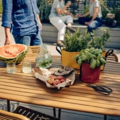 Pflanztasche "Colour" - 10 Liter, Ingwer -Windhager || Compo Verkäufe bacsac pflanztasche colour 10 liter 1681161 de