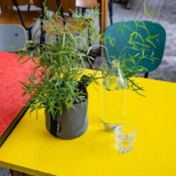 Pflanztasche "Colour" - 10 Liter, Ingwer -Windhager || Compo Verkäufe bacsac pflanztasche colour 10 liter 1681162 de