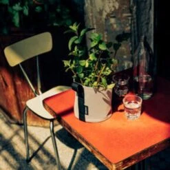 Pflanztasche "Colour" - 10 Liter, Ingwer -Windhager || Compo Verkäufe bacsac pflanztasche colour 10 liter 1681164 de