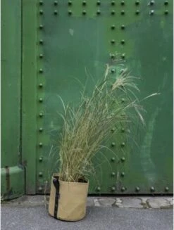 Pflanztasche "Colour" - 10 Liter, Ingwer -Windhager || Compo Verkäufe bacsac pflanztasche colour 10 liter ingefaera 1681167 de