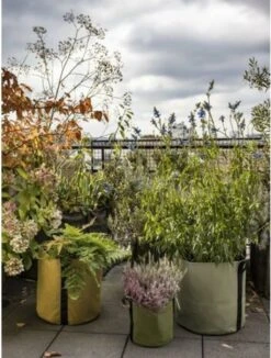 Pflanztasche "Colour" - 25 Liter, Limette -Windhager || Compo Verkäufe bacsac pflanztasche colour 25 liter 1681188 de