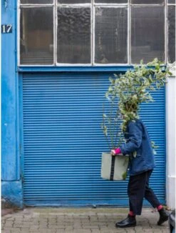 Windhager || Compo Verkäufe -Windhager || Compo Verkäufe bacsac pflanztasche colour 25 liter kalk 1681183 de