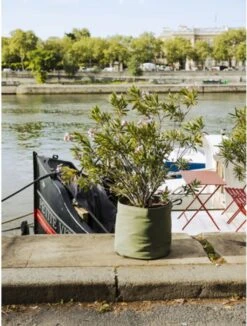 Pflanztasche "Colour" - 50 Liter, Limette -Windhager || Compo Verkäufe bacsac pflanztasche colour 50 liter 1681196 de