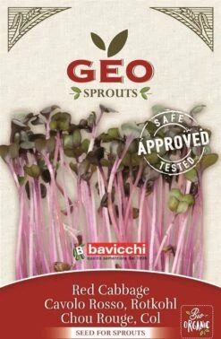Bio Keimsprossen "Rotkohl", 12 G -Windhager || Compo Verkäufe bavicchi bio keimsprossen rotkohl 12 g 1666766 de