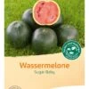 Wassermelone "Sugar Baby" 1 Wassermelone "Sugar Baby" -Windhager || Compo Verkäufe bingenheimer saatgut wassermelone sugar baby 1612472 de