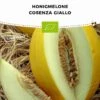 Bio Honigmelone „Cosenza Giallo“