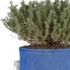 Pflanztasche Aus Geotextil ∅ 12 Cm, Blau -Windhager || Compo Verkäufe bourgeon pflanztasche aus geotextil 12 cm 1701849 de