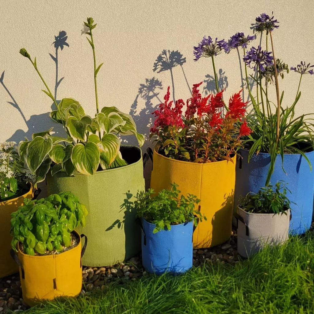 Pflanztasche Aus Geotextil ∅ 20 Cm, Grün 3 Pflanztasche Aus Geotextil ∅ 20 Cm, Grün