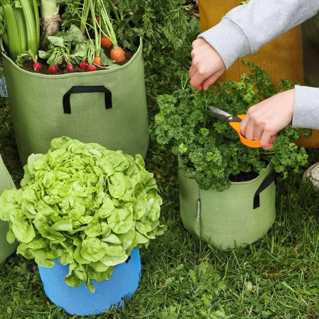 Pflanztasche Aus Geotextil ∅ 20 Cm, Grün 5 Pflanztasche Aus Geotextil ∅ 20 Cm, Grün – Bild 3