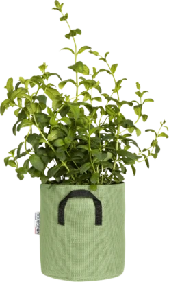 Pflanztasche Aus Geotextil ∅ 20 Cm, Grün 13 Pflanztasche Aus Geotextil ∅ 20 Cm, Grün -Windhager || Compo Verkäufe bourgeon pflanztasche aus geotextil 20 cm gruen 1696244 de