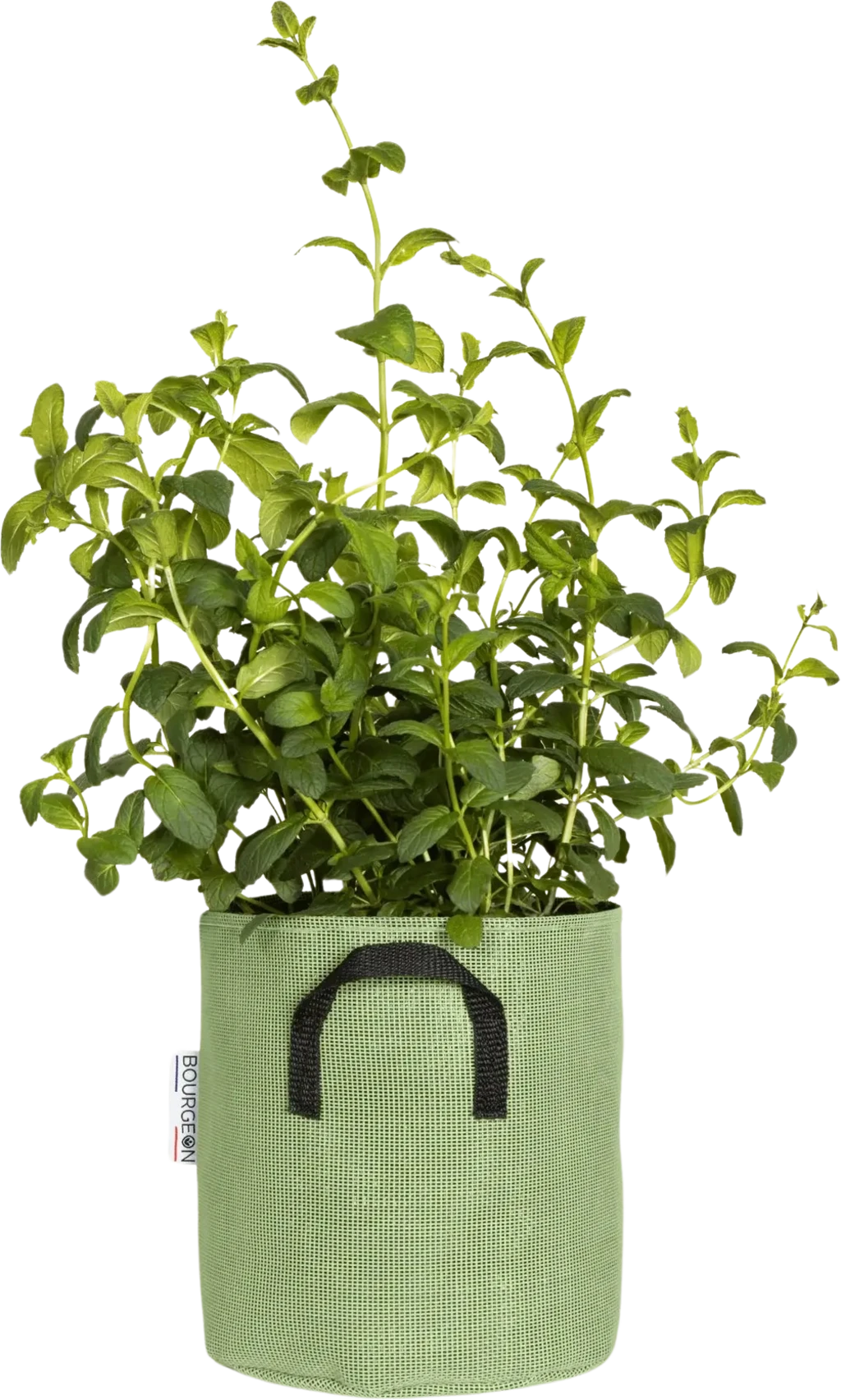 Pflanztasche Aus Geotextil ∅ 20 Cm, Grün 6 Pflanztasche Aus Geotextil ∅ 20 Cm, Grün – Bild 4