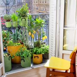 Pflanztasche Aus Geotextil ∅ 40 Cm, Grün -Windhager || Compo Verkäufe bourgeon pflanztasche aus geotextil 40 cm blau 1695893 de