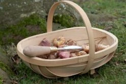 Pflanzhilfe Von Sophie Conran -Windhager || Compo Verkäufe burgon ball pflanzhilfe von sophie conran 1 st 1668255 de