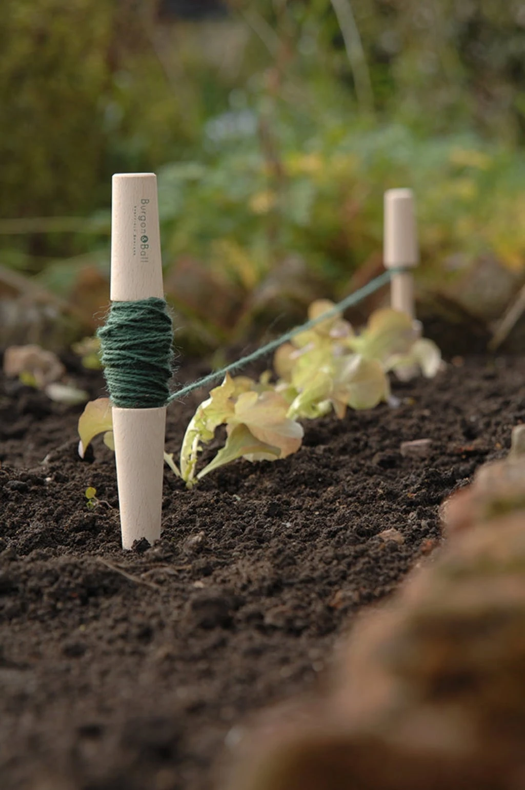 Pflanzschnur 5 Pflanzschnur – Bild 4