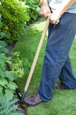 Rasenkantenstecher Aus Edelstahl -Windhager || Compo Verkäufe burgon ball rasenkantenstecher aus edelstahl 1 st 1669329 de