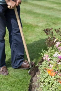 Rasenkantenstecher Aus Edelstahl -Windhager || Compo Verkäufe burgon ball rasenkantenstecher aus edelstahl 1 st 1669330 de