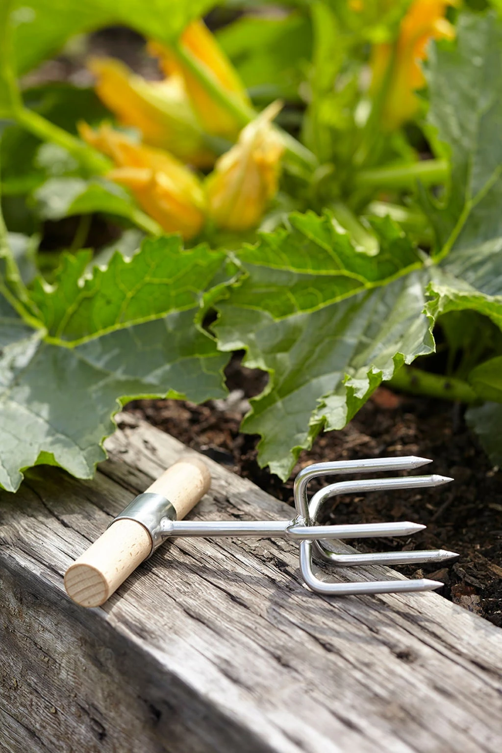 Twist Kultivator Von Sophie Conran 5 Twist Kultivator Von Sophie Conran – Bild 3