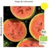 Bio Wassermelone Blacktail Mountain -Windhager || Compo Verkäufe culinaris bio wassermelone blacktail mountain 1 paket 1683593 de