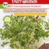 BIO-Keimsprossen Rotkohl -Windhager || Compo Verkäufe duerr samen bio keimsprossen rotkohl 1 paket 1675562 de