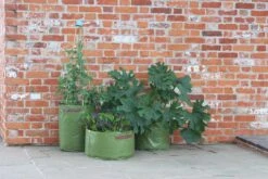 Gemüsepflanztaschen Im 3er Set, 3 Stück -Windhager || Compo Verkäufe haxnicks gemuesepflanztaschen im 3er set 3 st 1666015 de