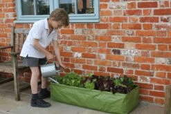 Windhager || Compo Verkäufe -Windhager || Compo Verkäufe haxnicks grosse allzweck pflanztasche 1 st 1666018 de