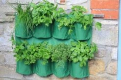 Hängender Kräutergarten -Windhager || Compo Verkäufe haxnicks haengender kraeutergarten 1 st 1656013 de