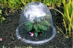 Originale Viktorianische Pflanzglocke, 3 Stück -Windhager || Compo Verkäufe haxnicks originale viktorianische pflanzglocke 1651551 de