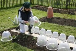 Originale Viktorianische Pflanzglocke, 3 Stück