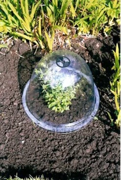 Originale Viktorianische Pflanzglocke, 3 Stück -Windhager || Compo Verkäufe haxnicks originale viktorianische pflanzglocke 3 st 1666007 de