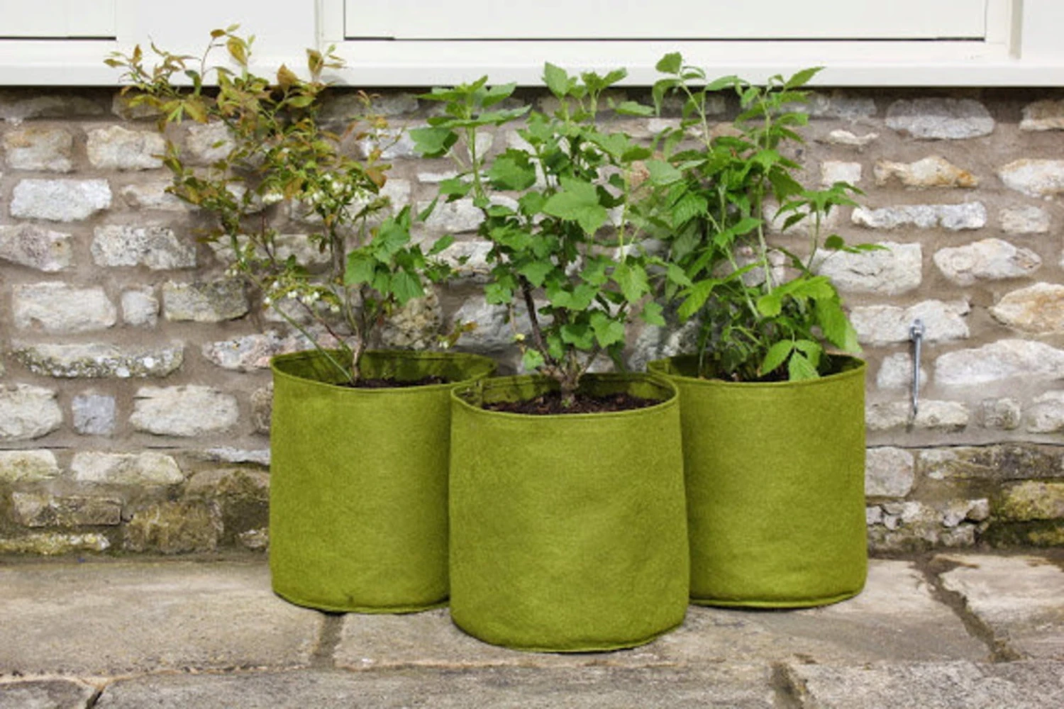 Vigoroot Pflanztaschen Im 3er Set, 5 L (3 Stück) 4 Vigoroot Pflanztaschen Im 3er Set, 5 L (3 Stück) – Bild 2