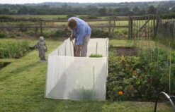 Wind- & Wetterschutz -Windhager || Compo Verkäufe haxnicks wind wetterschutz 1 st 1666054 de