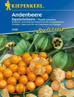 Andenbeere