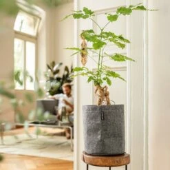 LECHUZA Pflanzgefäß TRENDCOVER "Filz" 23, Dark Grey -Windhager || Compo Verkäufe lechuza komplett set trendcover filz 23 dark grey 1168518 de