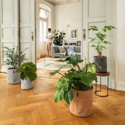 LECHUZA Pflanzgefäß TRENDCOVER "Kork" 23, Light Natural -Windhager || Compo Verkäufe lechuza pflanzgefaess trendcover kork 23 1677551 de