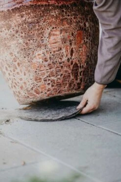 Schutzmatte Aus Wolle, Ø21 Cm (2 Stück) -Windhager || Compo Verkäufe nelson garden schutzmatte aus wolle 1459840 de