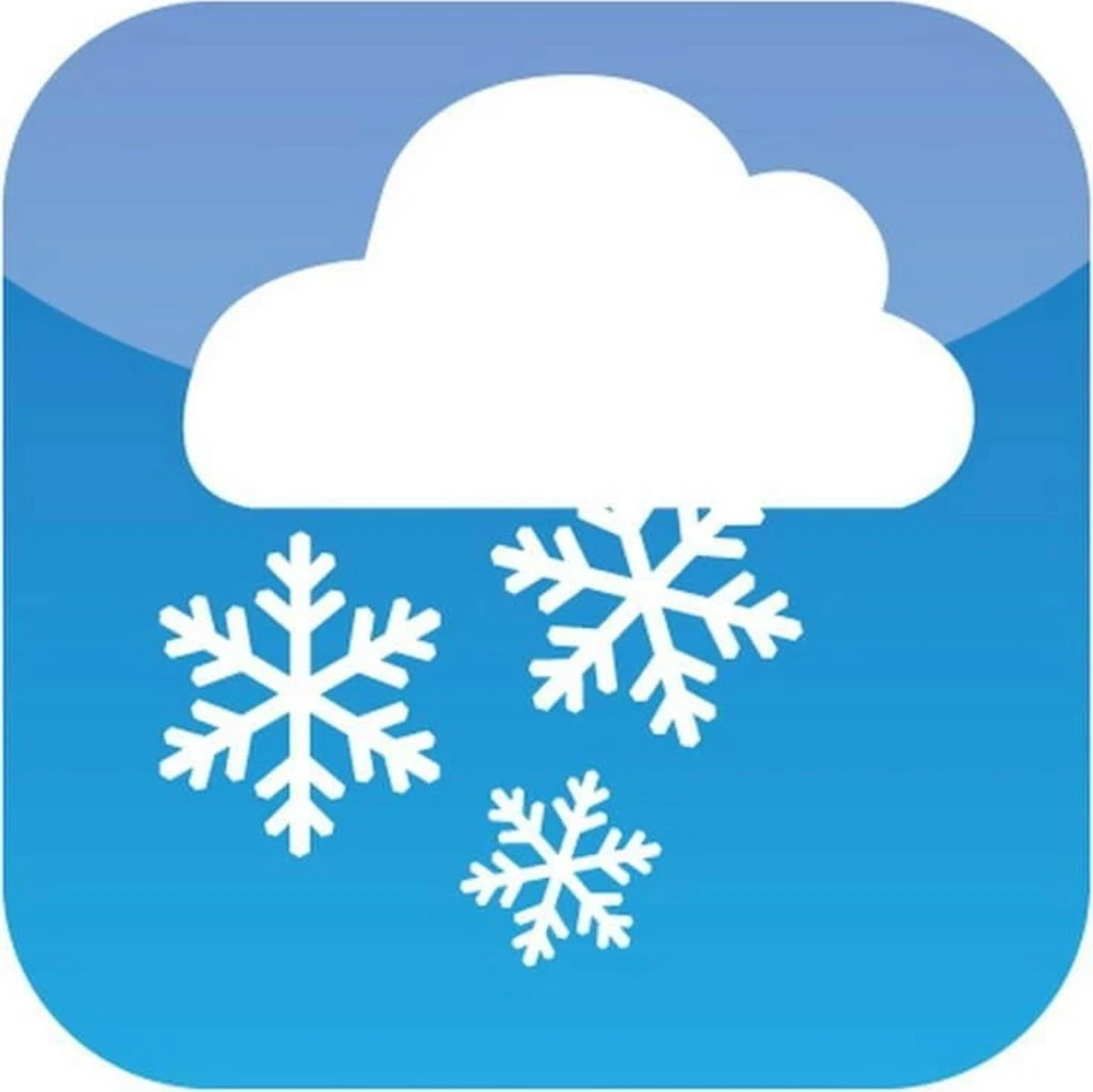 Winterschutzmatte Schafwolle 50x150 Cm, Naturweiß 3 Winterschutzmatte Schafwolle 50x150 Cm, Naturweiß