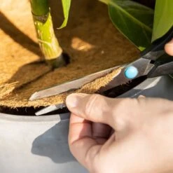 Kokosmulchscheiben Winterschutz 12 Kokosmulchscheiben Winterschutz -Windhager || Compo Verkäufe own grown kokosmulchscheiben winterschutz 1 paket 1684401 de