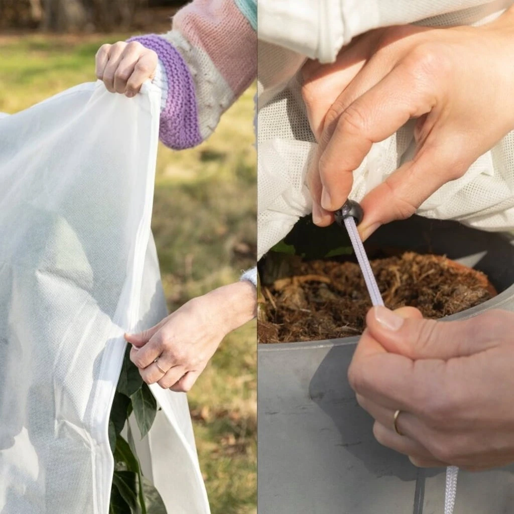 Pflanzen-Schutzhülle 2-tlg., 60 X 80 Cm 6 Pflanzen-Schutzhülle 2-tlg., 60 X 80 Cm – Bild 4