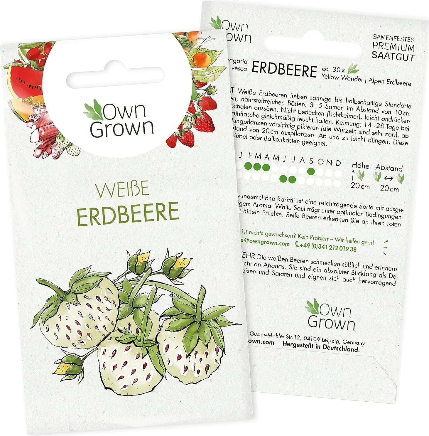 Saatgut "Weiße Erdbeere" 3 Saatgut "Weiße Erdbeere"