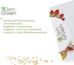 Saatgut "Weiße Erdbeere" 10 Saatgut "Weiße Erdbeere" -Windhager || Compo Verkäufe own grown saatgut weisse erdbeere 1525957 de