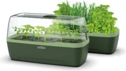 Gewächshaus & Pflanzkasten L - BoQube "Green Edition"