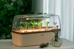 Gewächshaus & Pflanzkasten BoQube L PLUS LED - Creme-Kupferbraun -Windhager || Compo Verkäufe romberg boqube l plus led creme kupferbraun 1 stk 819798 de