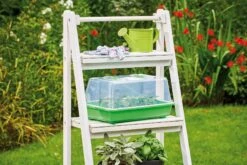 Classic Gewächshaus M -Windhager || Compo Verkäufe romberg classic gewaechshaus m 1 st 908870 de