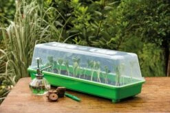 Gewächshaus L Mit Belüftung